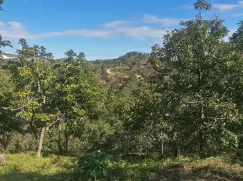 Venta de finca en san cristóbal