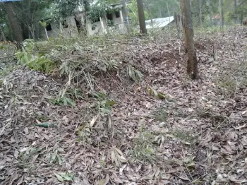 Vende solar en vacacional matua