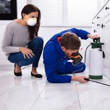 Cocina clean sin plagas