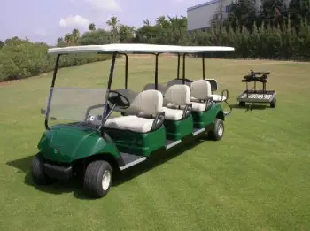 Concesionario de carro de golf / carrito de golf / golf cart para vill