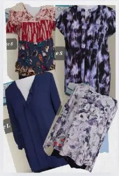Lote blusas