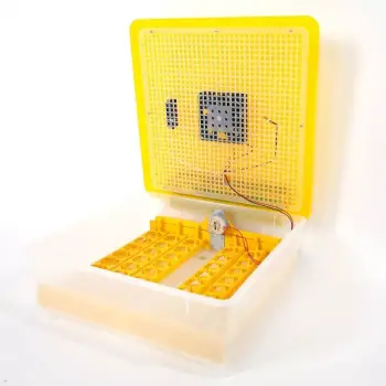 Incubadora automatica de 48 huevos con garantia y servicios tecnicos