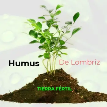 Abono orgánico humus de lombriz para una tierra fértil. da vida a tus