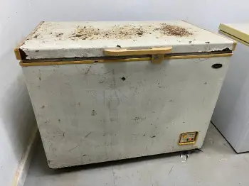 Freezer/congelador