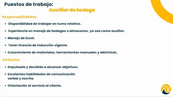 Auxiliar de bodegas
