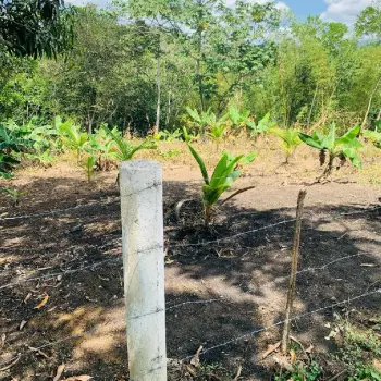 Vendo solar con su título   de 2500 metros en colinas de mina