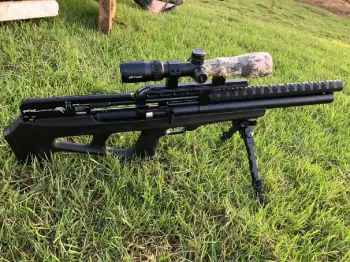 Fx wildcat mk1