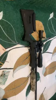 Umarex gauntlet  .22