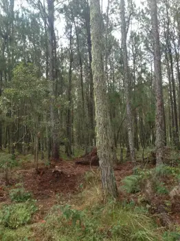 Vendo terreno en azua con título y deslindado 1840070.65 mts2.