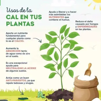 Cal agricola acondicionador de suelo