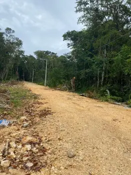 Terrenos en samaná