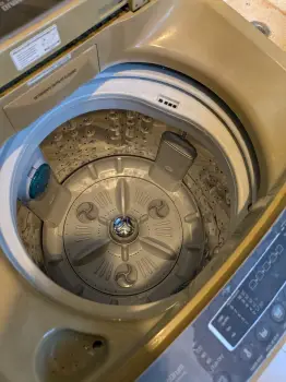 Lavadora automática lg 13 kg 29lb en venta