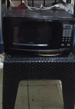 Microondas rival