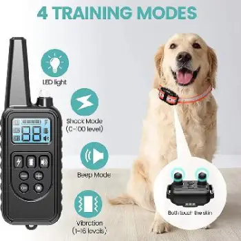 Collar de adiestramiento para perros  - recargable -  tamaño ajustable