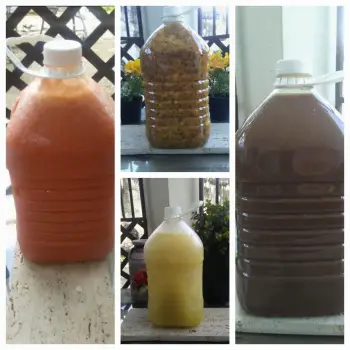 Pulpas y zumos de frutas frescas chinola - limón - cereza - tamarindo