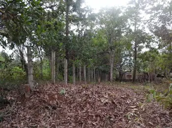 Vende solar vacacional matua