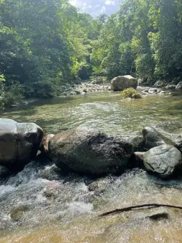 Complejo en venta en las montañas jarabacoa