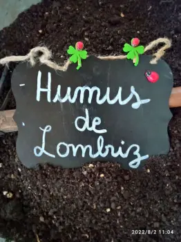 Abono organico para plantas humu de lombriz
