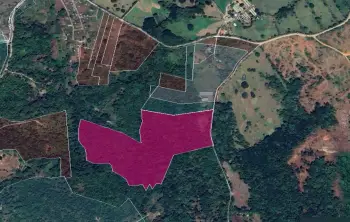 Terreno en venta en pedro brand