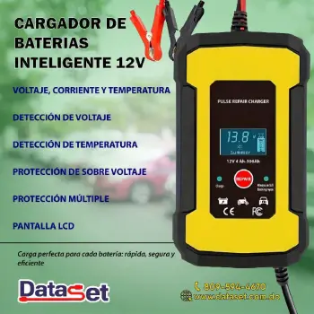 Cargador de bateria inteligente 12v