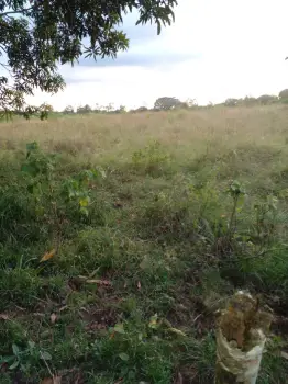 Finca en venta bayaguana48