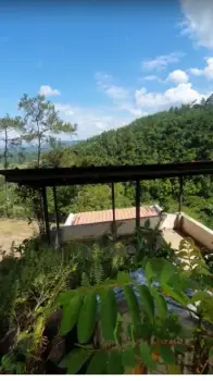 Venta de de finca en la vega republica dominicana