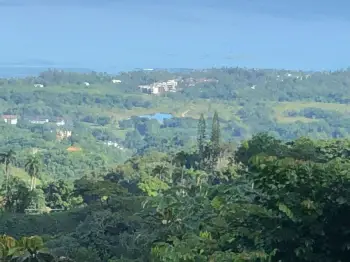 Terreno de 13000 m con vista panorámica en cosón-las terrenas