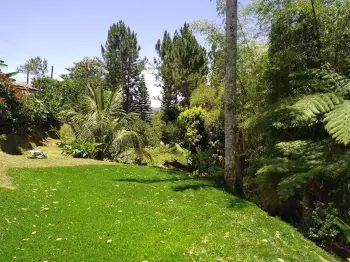 Vendo bonita finca ecológica con título en san cristóbal