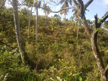 Ubicado en playa alcón barbacoa este terreno de 463877 m es una joya ú