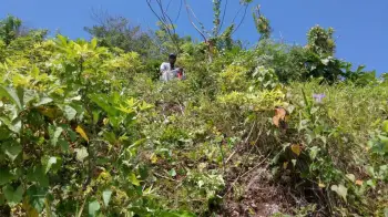 Solares en venta en las terrenas - desde 8464 m a usd 50/m negociables