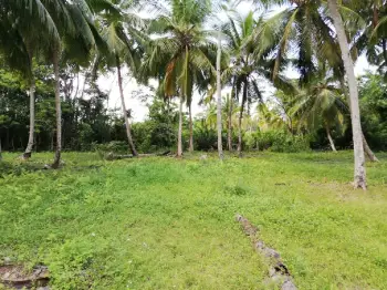 Terreno exclusivo cerca de playa bonita - inversión en paraíso