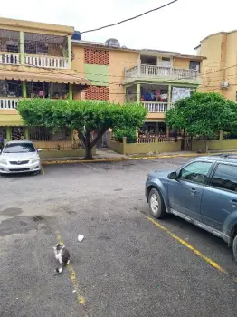 Alquilo apto en cancino ii sto dgo este