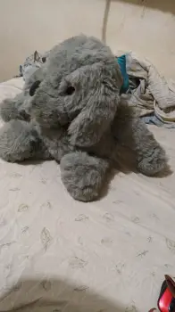 Venta de peluches  en santo domingo este