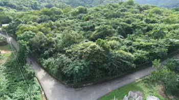 Terreno en yaguate de oportunidadsan cristóbal