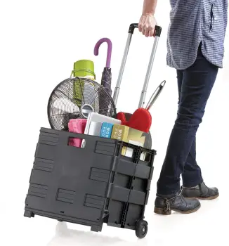Carro utilitario plegable plástico negro