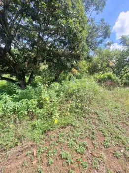 Venta de finca de oportunidad !!!