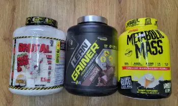 Proteína ordena ya