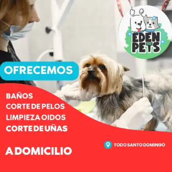 Baños para caninos a domicilio