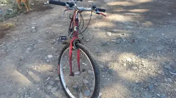 Bicicleta flash bike
