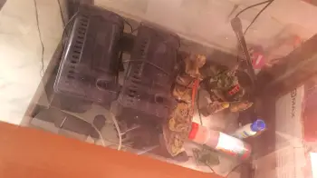 Pecera con todo y accesorios  en santo domingo este