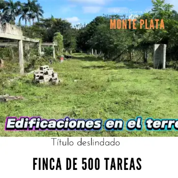 Finca de 500 tareas con vocación ganadera y agrícola en sabana grande