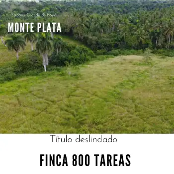 Finca de 800 tareas ganadera y agrícola en sabana grande de boyá