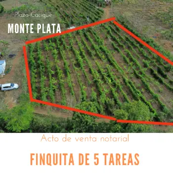 Finca de 5 tareas sembradas de plátanos chinola yuca en monte plata
