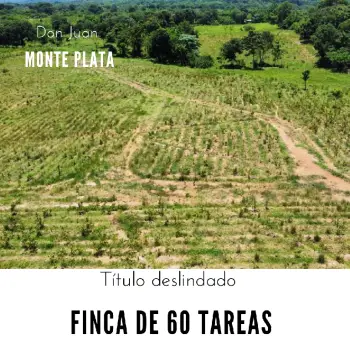 Finca de 60 tareas con vocación agrícola y eco-turísticos en don juan