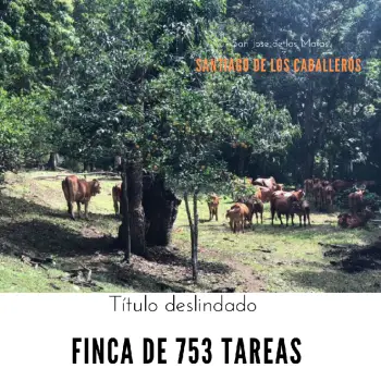 Finca de 753 tareas ganaderas con vocación agrícola en santiago