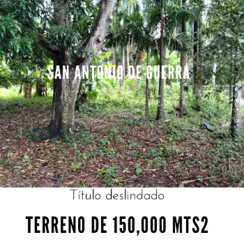 Terreno de 150000 mts2 ideal para la academia de béisbol cualquier tip