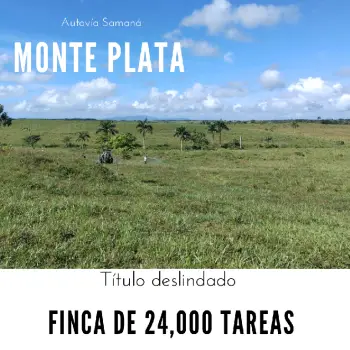 Finca de 24000 tareas con vocación ganadera y agrícola acta para cualq