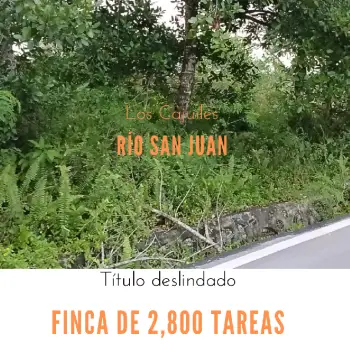 Finca de 2800 tareas con vocación agrícola y ganadera en río san juan