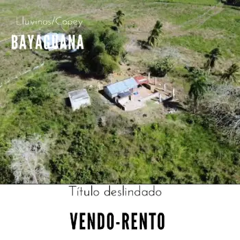 Vendo-rentó finca totalmente ganadera de 200 o 429 tareas en copey de