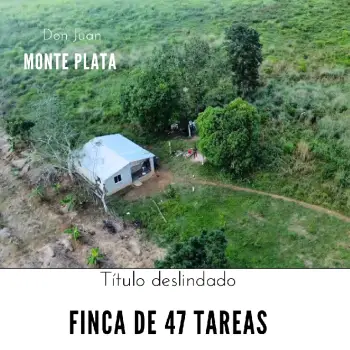 Finca de 47 tareas con vocación ganadera y agrícola en don juan de mon
